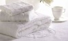 2012 Best Selling !!! China Hotel 100% Cotton bath towels