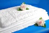 2012 Best Selling !!! China Hotel 100% Cotton towels