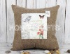 2012 Cheap Decorative Cushions Pillow