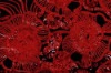 2012 FANCY SEQUIN EMBROIDERY FABRIC ON MESH GROUND