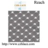 2012 Fashion Nylon Lace Fabric