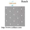 2012 Fashion Nylon Lace Fabric