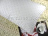 2012 Fashion Technic Mulberry Silk Pillow
