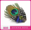 2012 HOT fantastic peacock feather headband