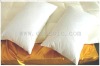 2012 Handmade Natural Silk Pillow
