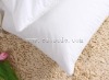2012 Handmade Natural Silk Pillow