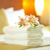 2012 Hot !!! 100% Hotel Cotton Bath towels