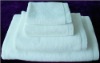 2012 Hot !!! 100% Hotel Cotton towels were exported to Ghana 15W pcs last month