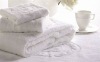 2012 Hot Sale! hotel face towel with low price!