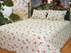 2012 Hot sale cotton down quilt/soft and comfort