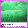 2012 Hot saled Ostrich Feather for decoration