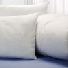 2012 Latest Classic Mulberry Silk Pillow