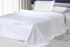 2012 Luxurious Mulberry Silk Quilt