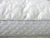 2012 Luxury Handmade Mulberry Silk Pillow