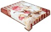 2012 M216 polyester mink Blanket