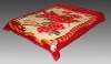 2012 MeiYi hot selling 100% polyester korean style raschel blanket