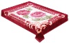 2012 MeiYi hot selling 100% polyester korean style raschel blanket