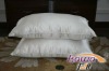 2012 New Luxury Mulberry Silk pillow