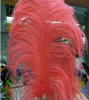 2012 Real Ostrich Feather Extension for Hair