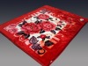 2012 blanket No. FM6014 red polyester mink blanket in China