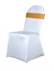 2012 classic chair coverWE303