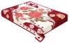 2012 hot selling 100% polyester korean style raschel blanket