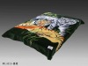 2012 hot selling polyester blanket