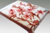 2012 hot selling polyester blanket