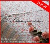 2012 new cotton printed quilt