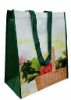 2012 new design promotional non woven shopping bag