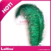 2012 new fashion ostrich feathers
