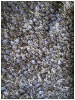 2012 new-style fashionable knitted mesh lace fabric