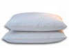 2012Latest Fashion Handmade Mulberry Silk Pillow