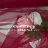 20D Nylon Net Fabric