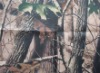 210D Oxford 1000PU waterproof camouflage oxford fabric