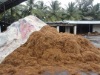 25kg bale Coconut fiber