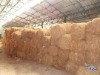 25kg bale Coir fiber