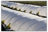3% UV Resistant nonwoven fabric