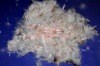 30%washed white duck feather 30/70