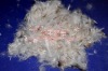 30%washed white duck feather 30/70
