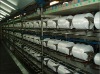 300D/96F Polyester Yarn RW SD NIM DTY