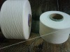 30S Recycled Polyester Yarn (Raw White )