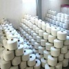 30S Recycled Polyester Yarn (Raw White )