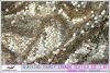 3mm+7mm fashion apr new polyester mesh allover sequin embroidery fabric