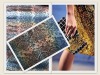 3mm colorful snakeskin sequins printing polyester mesh fabric