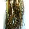 4"-6" in Length Natural Mix Feathers for Hair Extensions Bunched Together Salon Quality Feathers- 5 Feathers