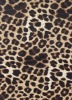 40DHE-27655 100% Nylon animal printing mesh fabric