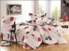 4pc bed sheet of home