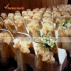 50 Champagne Shimmering Organza Chair Sash