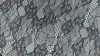 5029 lace fabric